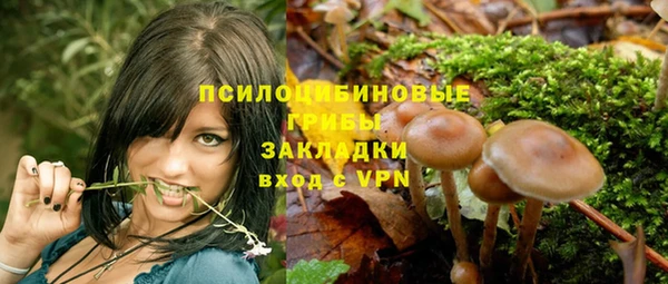трава Белокуриха