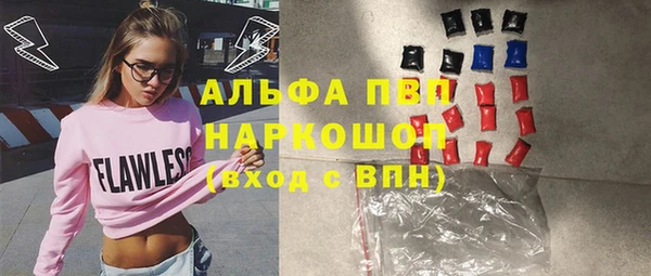 трава Белокуриха