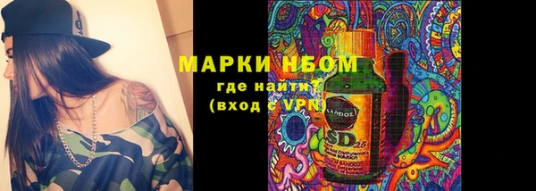 индика Белоозёрский