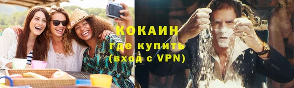 трава Белокуриха